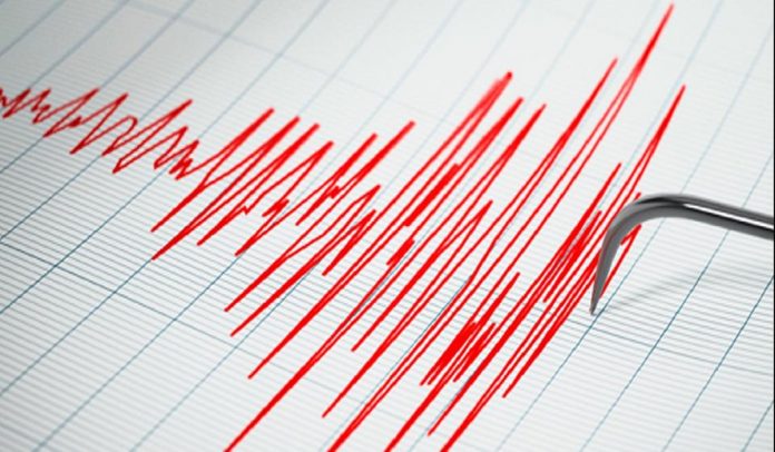 Funvisis reporta temblor en Isla Tortuga