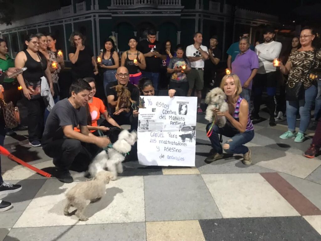 Misión Nevado en vigilia contra maltrato animal