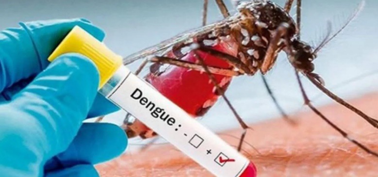 Perú en alerta por aumento de casos de dengue