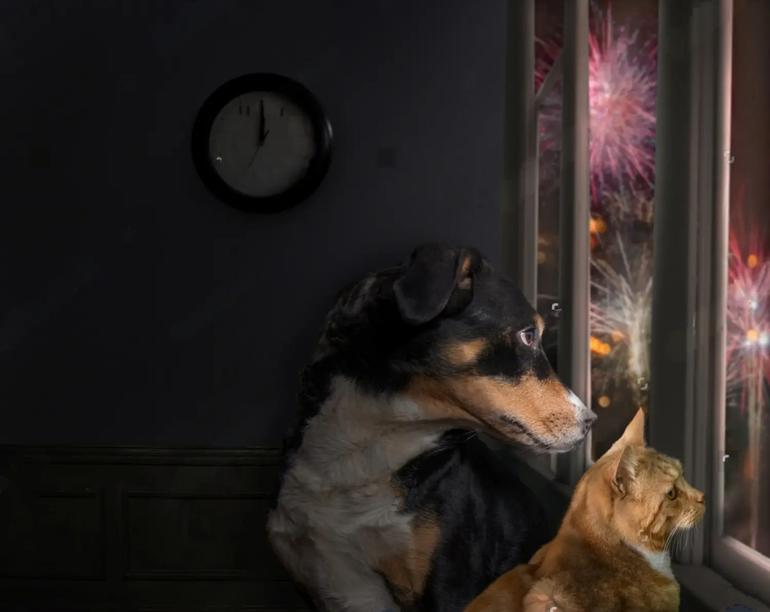 Cómo cuidar a tus mascotas durante los fuegos artificiales