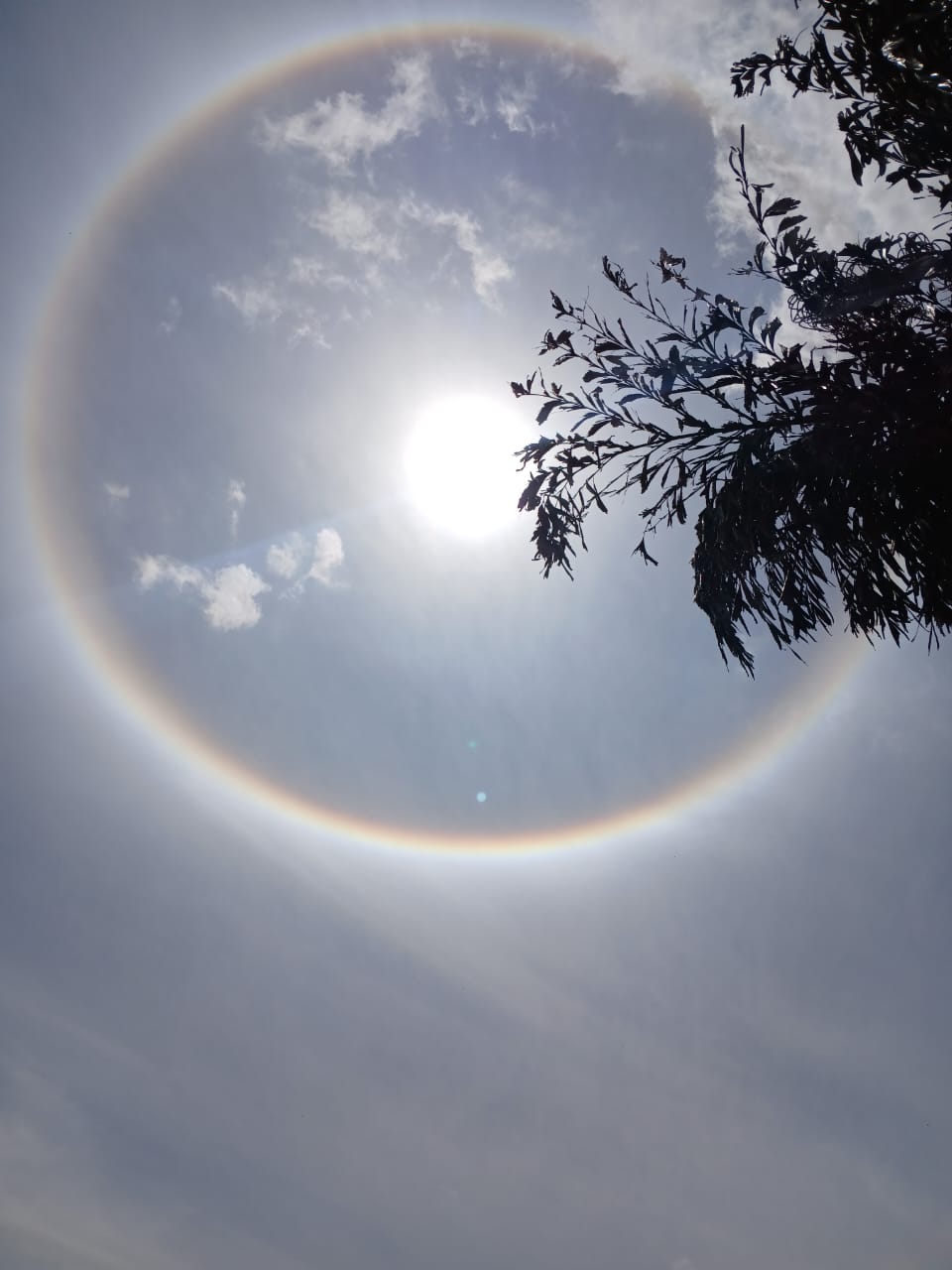 Halo solar sorprendió a larenses este #8Feb